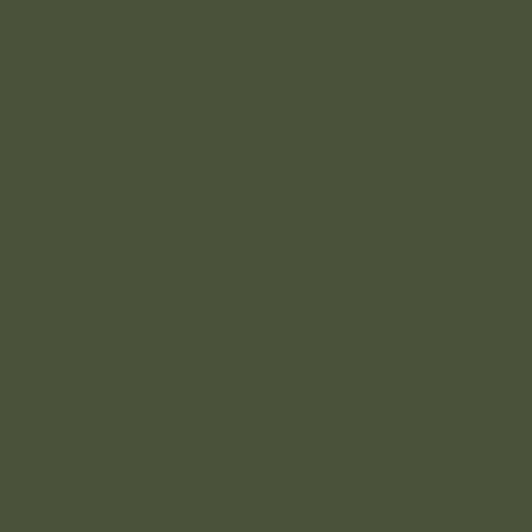 Mission Models Paint Russian Dark Olive 34102 1oz