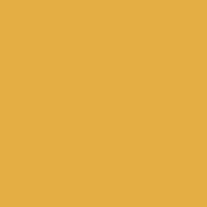 Mission Models Paint New Construction Yellow 1oz