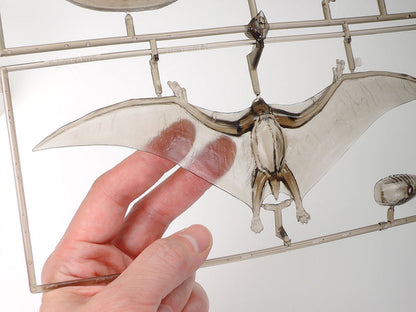 Tamiya  Pteranodon 