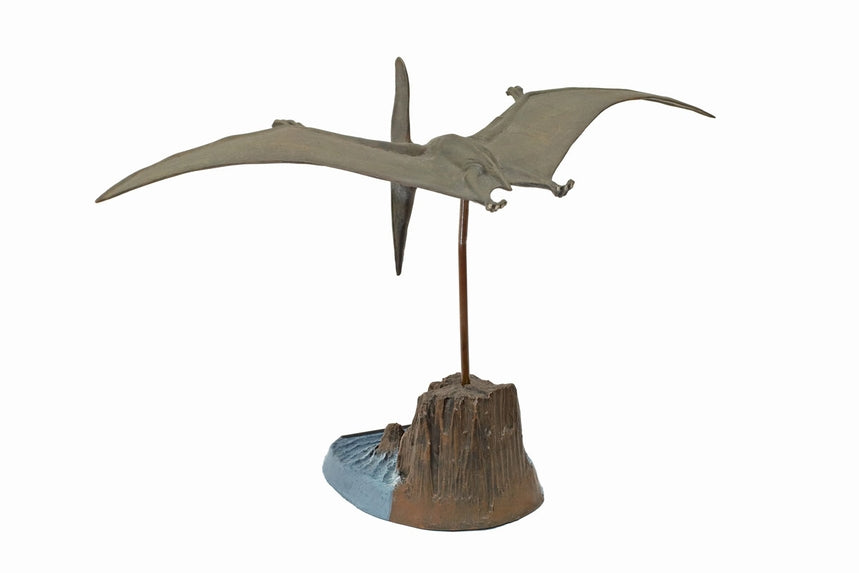 Tamiya  Pteranodon 