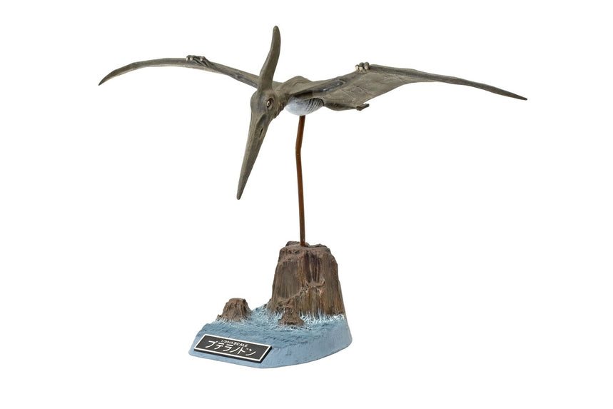Tamiya  Pteranodon 