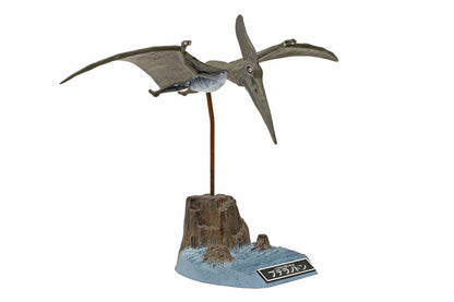 Tamiya  Pteranodon 